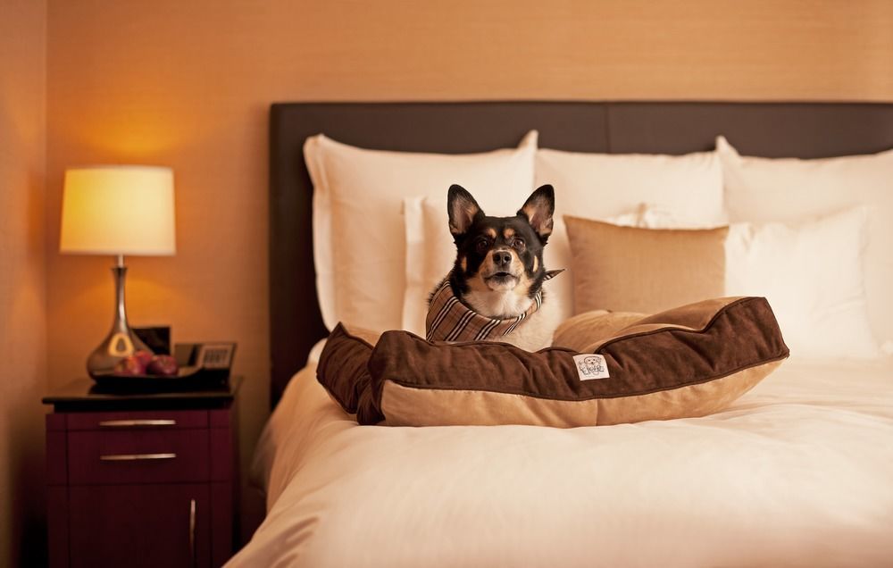 Hyatt Place Sterling Dulles Airport North Экстерьер фото